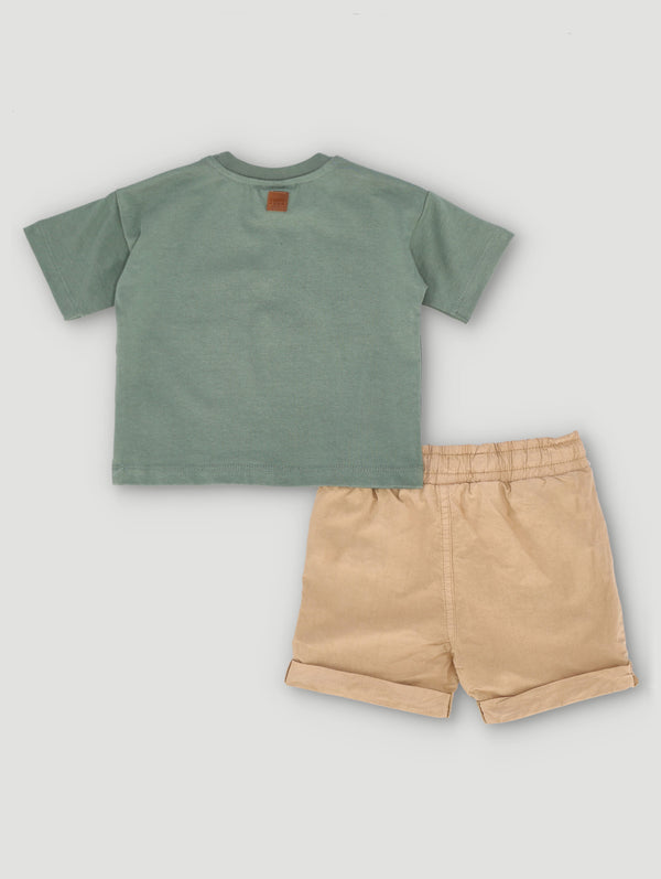 Animals Discover Set
