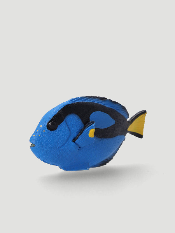 Surgeonfish Scent Sachet