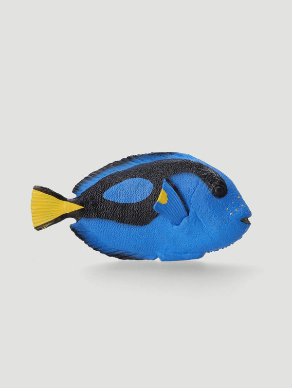 Surgeonfish Scent Sachet