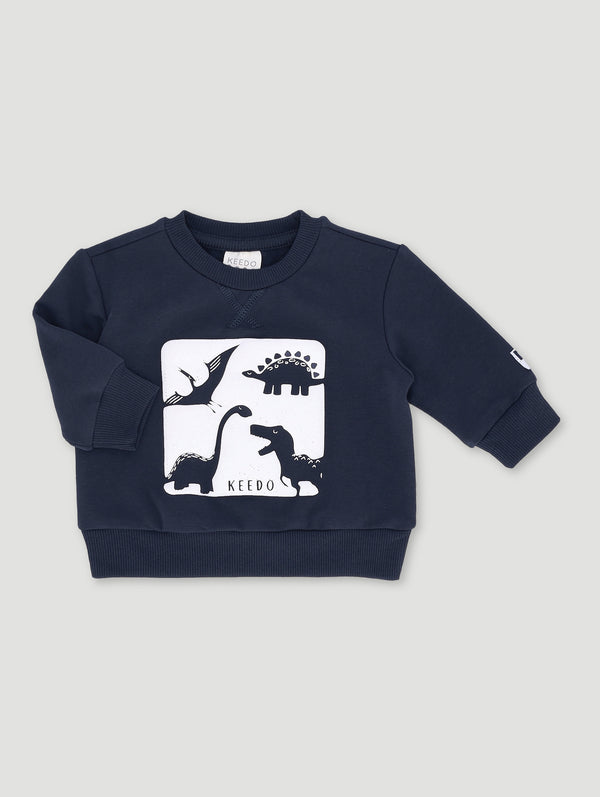 Baby Boys Dino Sweat Top