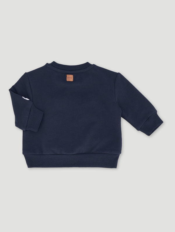Baby Boys Dino Sweat Top