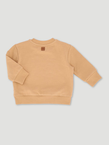 Baby Boys Rust Sweater