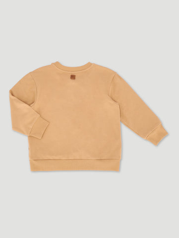 Boys Printed Sweater
