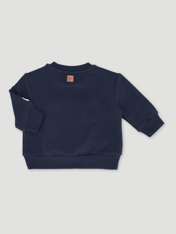 Baby Boys Dino Sweat Top